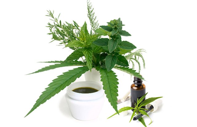 buy CBD oil