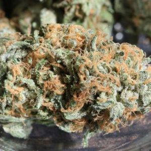 Medical Marijuana