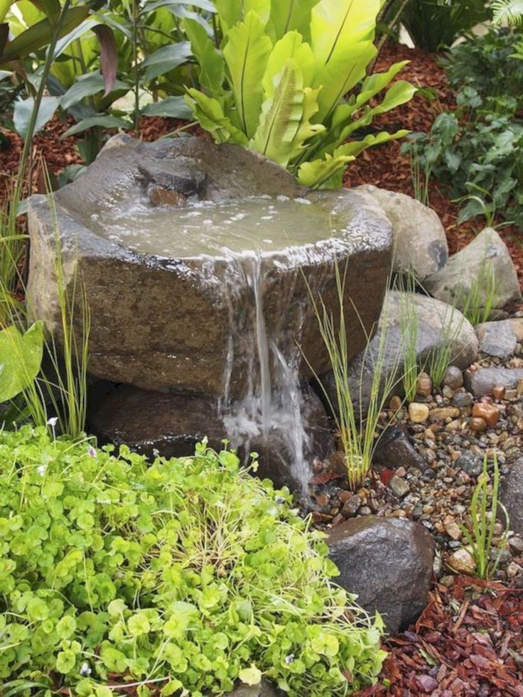 Water Feature