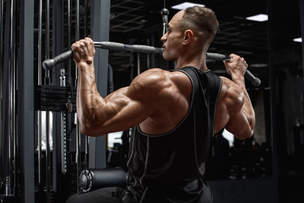 Muscle Gains